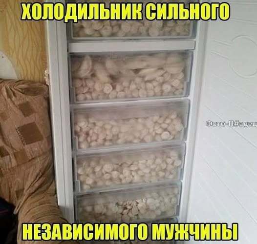 file_103172865