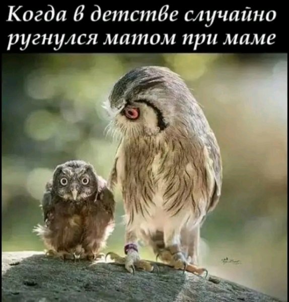 file_103195792