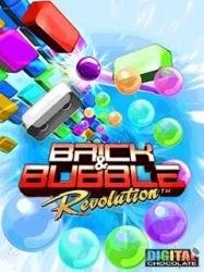 Brick and Bubble Revolution