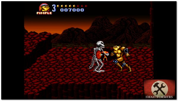 Battletoads in Battlemaniacs