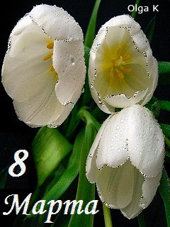 file_28419087