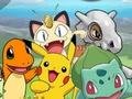 Pokemon Battle Arenai