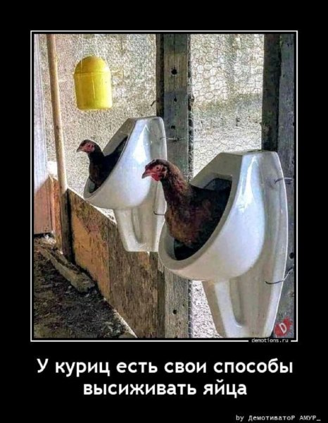 О КАК