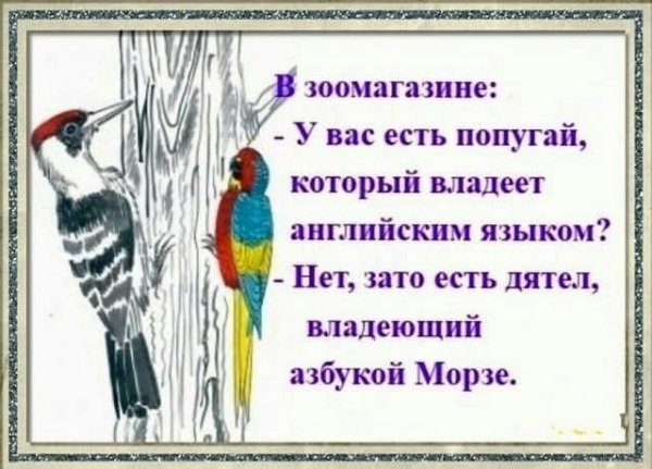 FB IMG 1770404920774