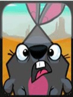 Down the Rabbit Hole