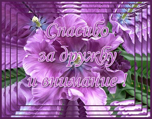 IMG 20171111 151454 53