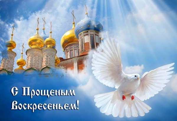file_96148888