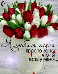 люблю тебя
