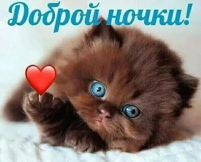 Доброй ночки!