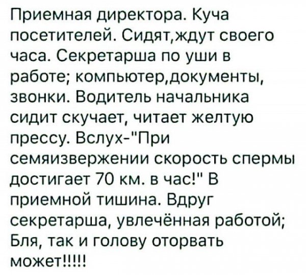 Секретутка