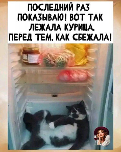 file_103027202