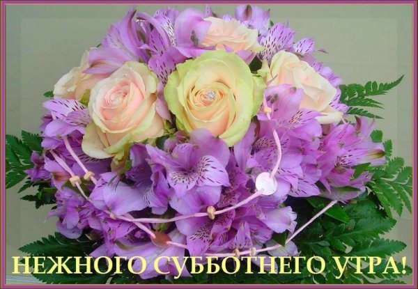 KoCWrniYyeg