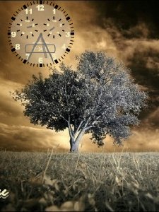 Lonely tree