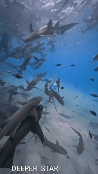 file_95134258