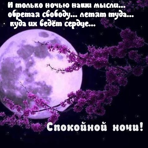 IMG 20181207 131839