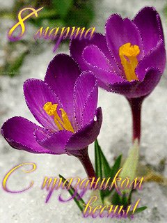 file_28399274