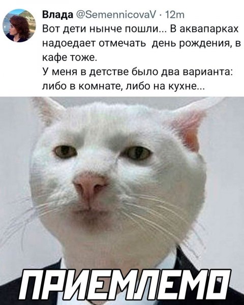 Мем-543