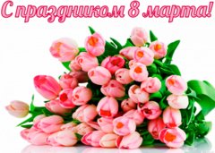 ec64006303da01391fa480d499fb9e57