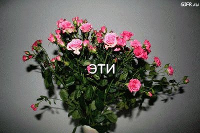 Анимированная открытка это цветы доброй