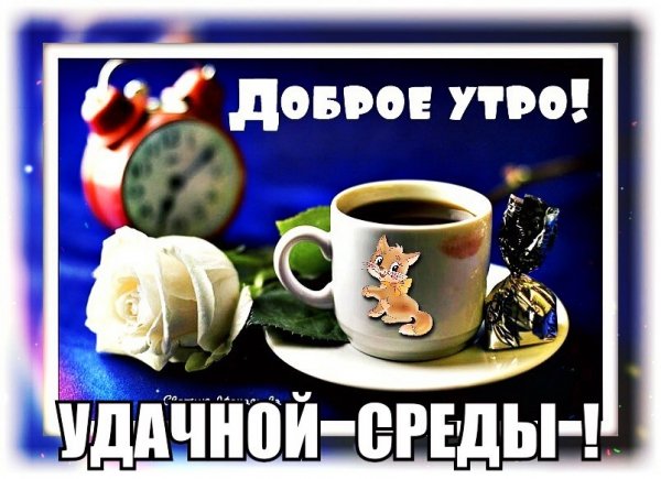 IMG 20181127 202921
