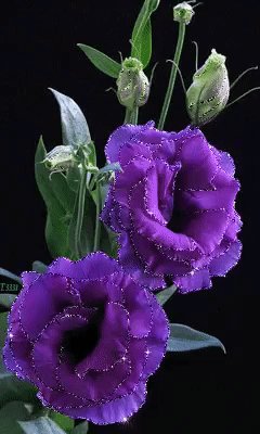 IMG 20160503 081302 133
