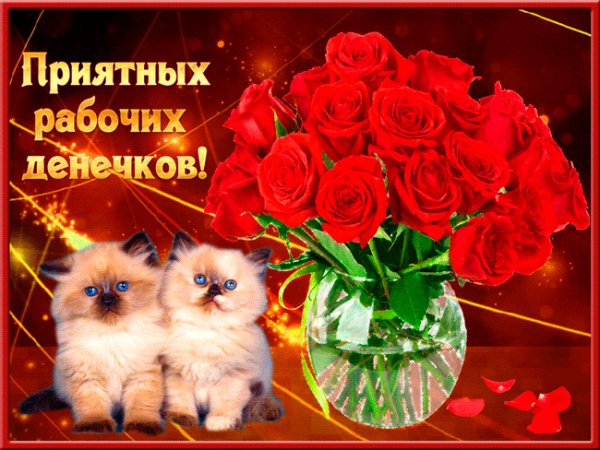 Приятных рабочих деньков!