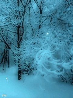 file_10953569