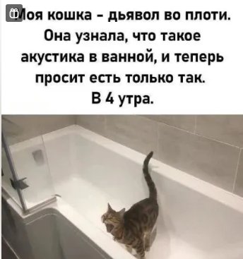 IMG 20260818 191425