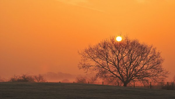 file_83349305