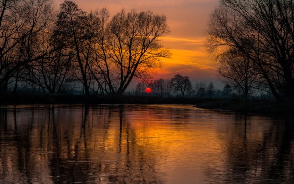 file_79142042