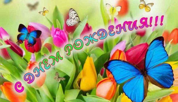 abf6ddc014340326b35addd51 XL