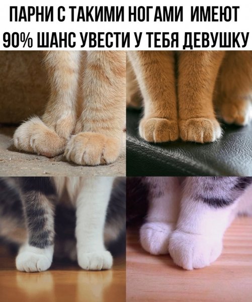Wordworldword 43a4d8f5da24496a