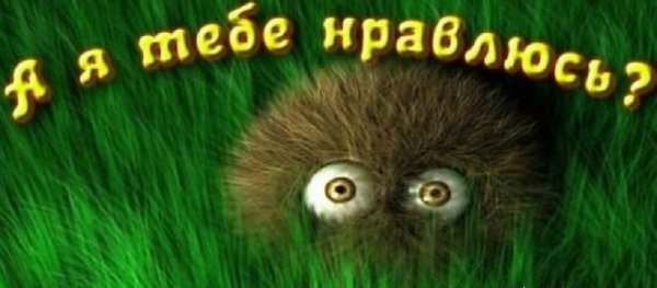 Я тебе нравлюсь. 5с.