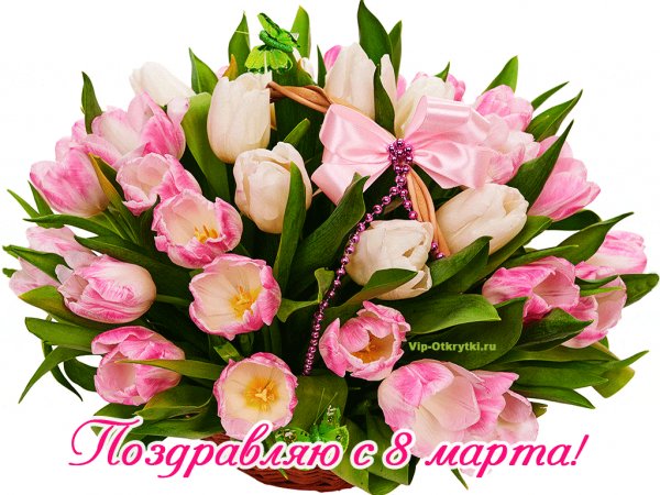 IMG 20240308 150816