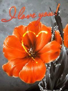 file_51785888
