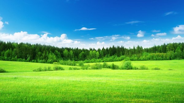 file_73697111