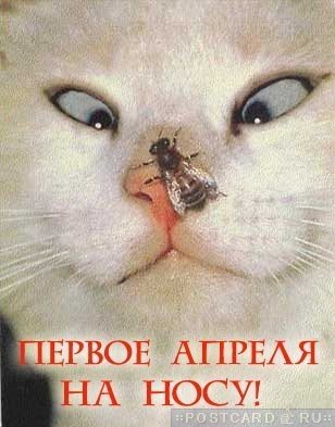 file_29246297