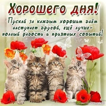 IMG 20190203 092824