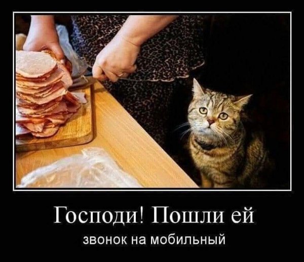 file_82951139