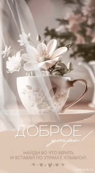 Доброе утро
