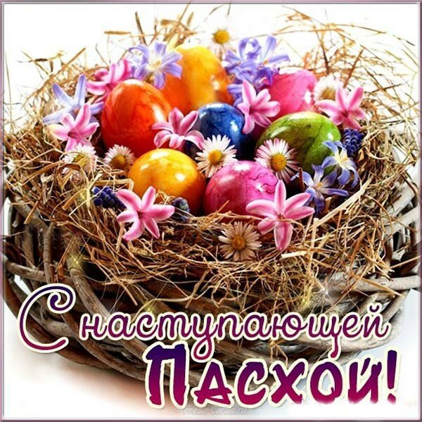 file_84185696