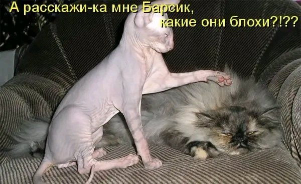 file_103146808