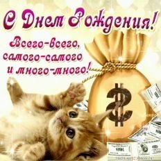 file_81228015