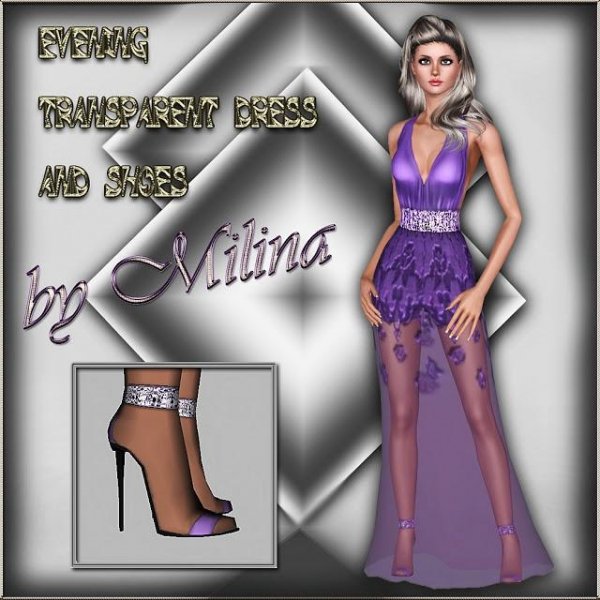 Milina Evening transparent dress and sho