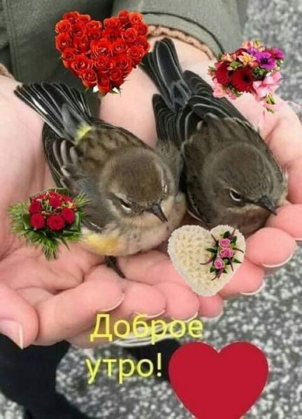 file_89849436