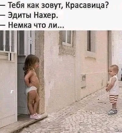 file_101056034