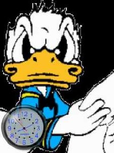 donaldduck fms2vmav