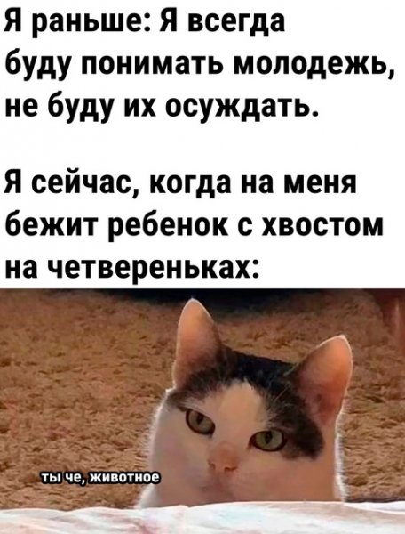 file_98072748