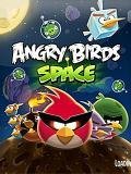 Angry Birds SPACE
