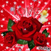 love gif bear snow